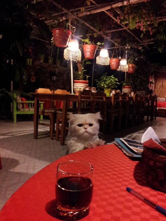 Ferah Hostel Monica'S Place Fethiye Dış mekan fotoğraf